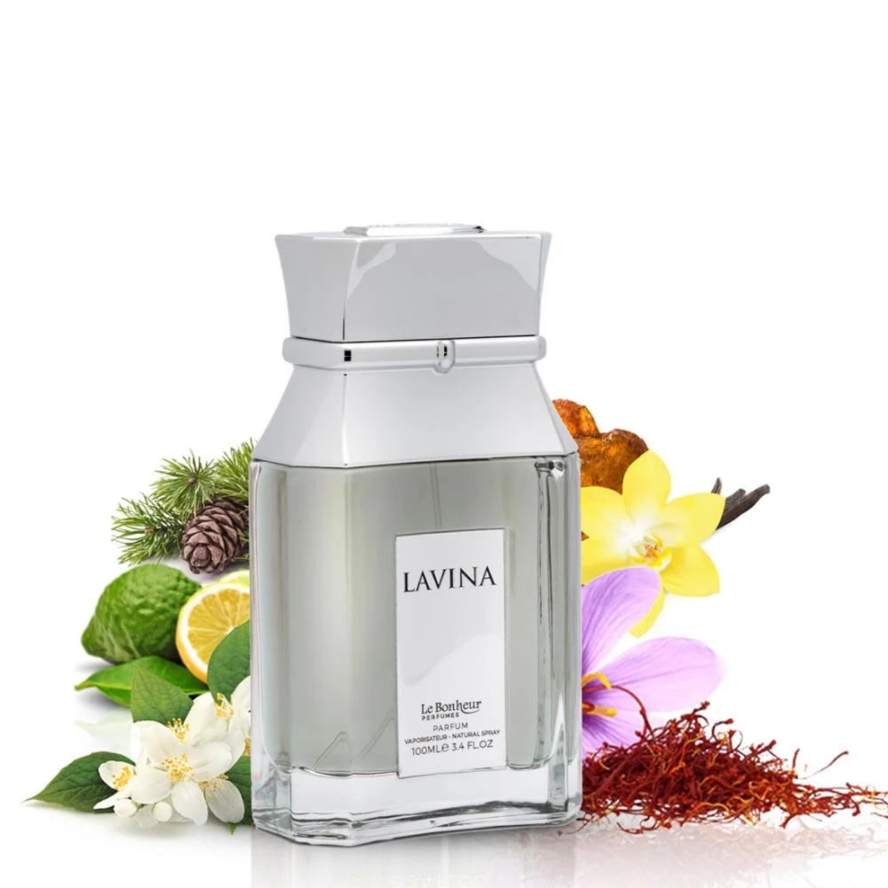 LAVINA (2 pack)